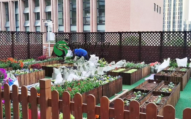 青園友誼小學有了自己的智慧農場氣象站